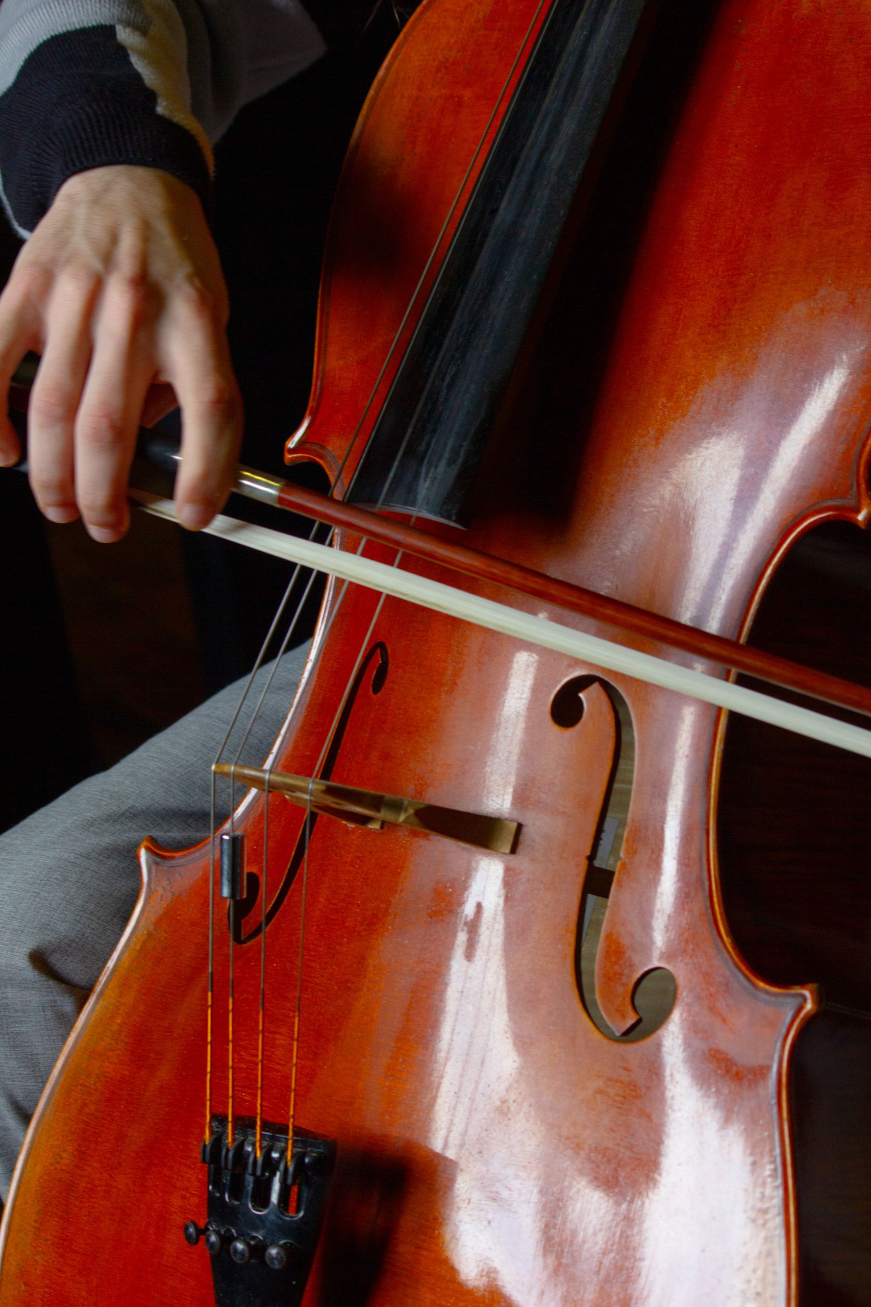Violoncelo